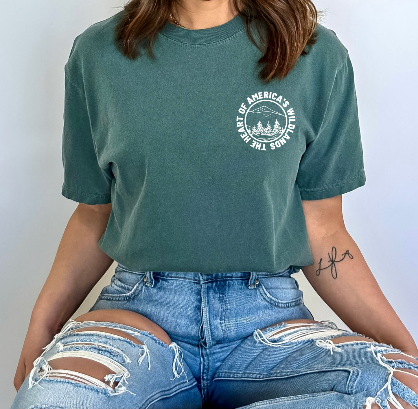 National Parks Vintage Style Comfort Color Tshirt